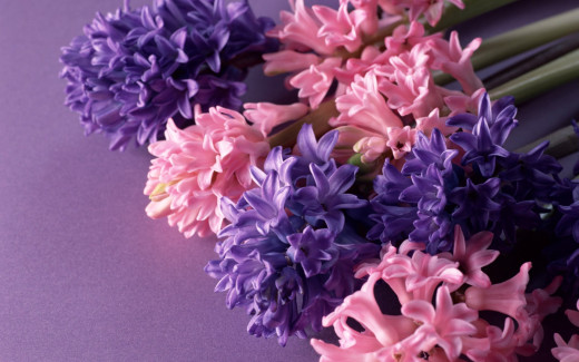 454371 (a): :1920x1200